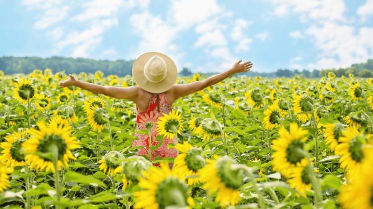 Tips for living a good life - mastering your garden - a lady in a field of sunflowers ready for spring equinox